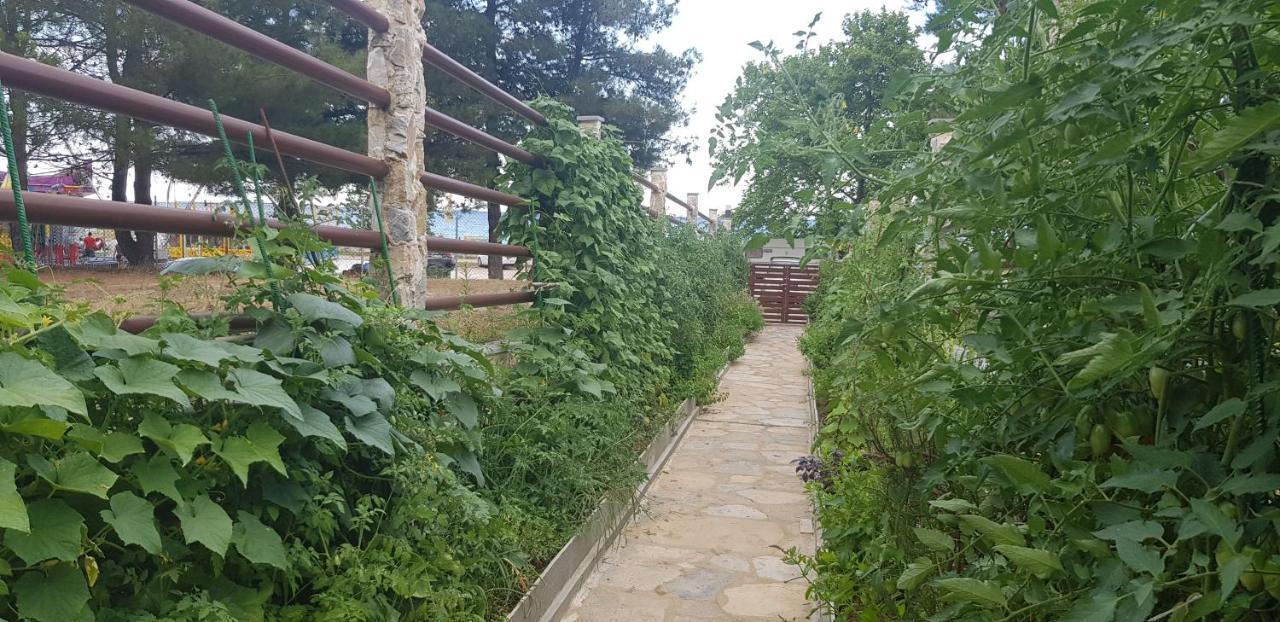 Hatzoudis Luxury Suites Chrisi Ammoudia Esterno foto